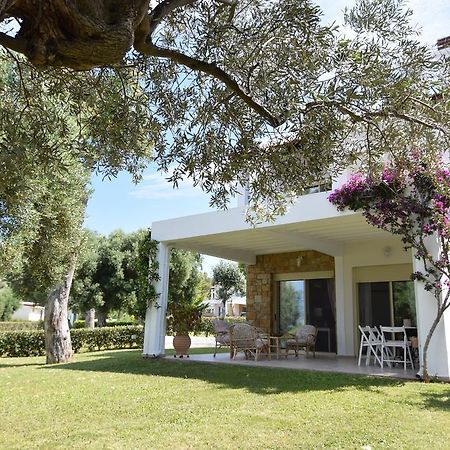 Villa Anemi Νέα Σκιώνη Εξωτερικό φωτογραφία