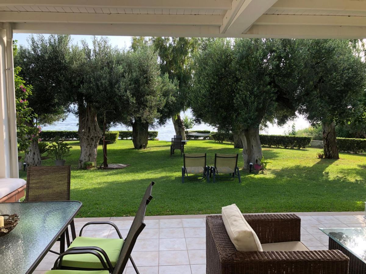 Villa Anemi Νέα Σκιώνη Εξωτερικό φωτογραφία